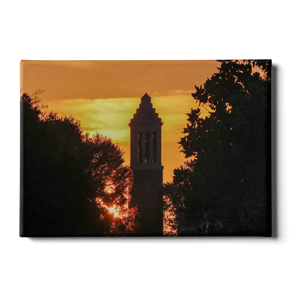 Alabama Crimson Tide - Denny Chimes Blaze