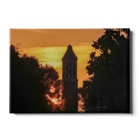 Alabama Crimson Tide - Denny Chimes Blaze