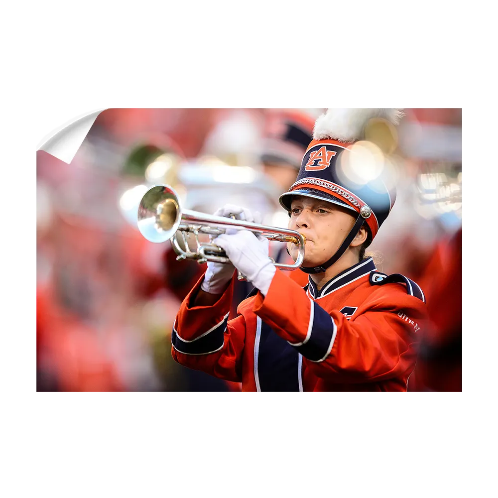 Auburn Tigers - Marching Band