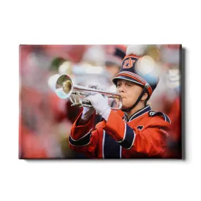 Auburn Tigers - Marching Band