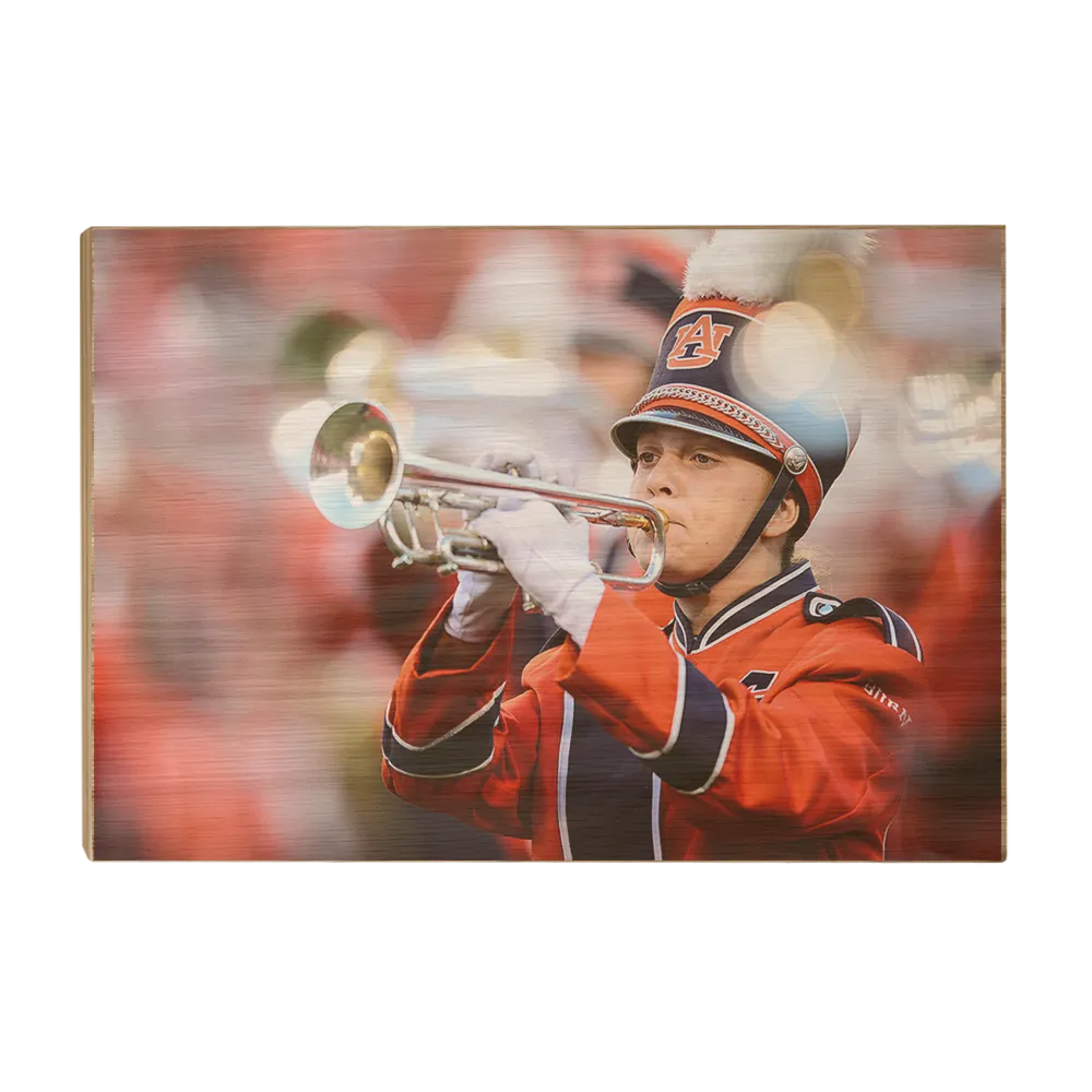 Auburn Tigers - Marching Band