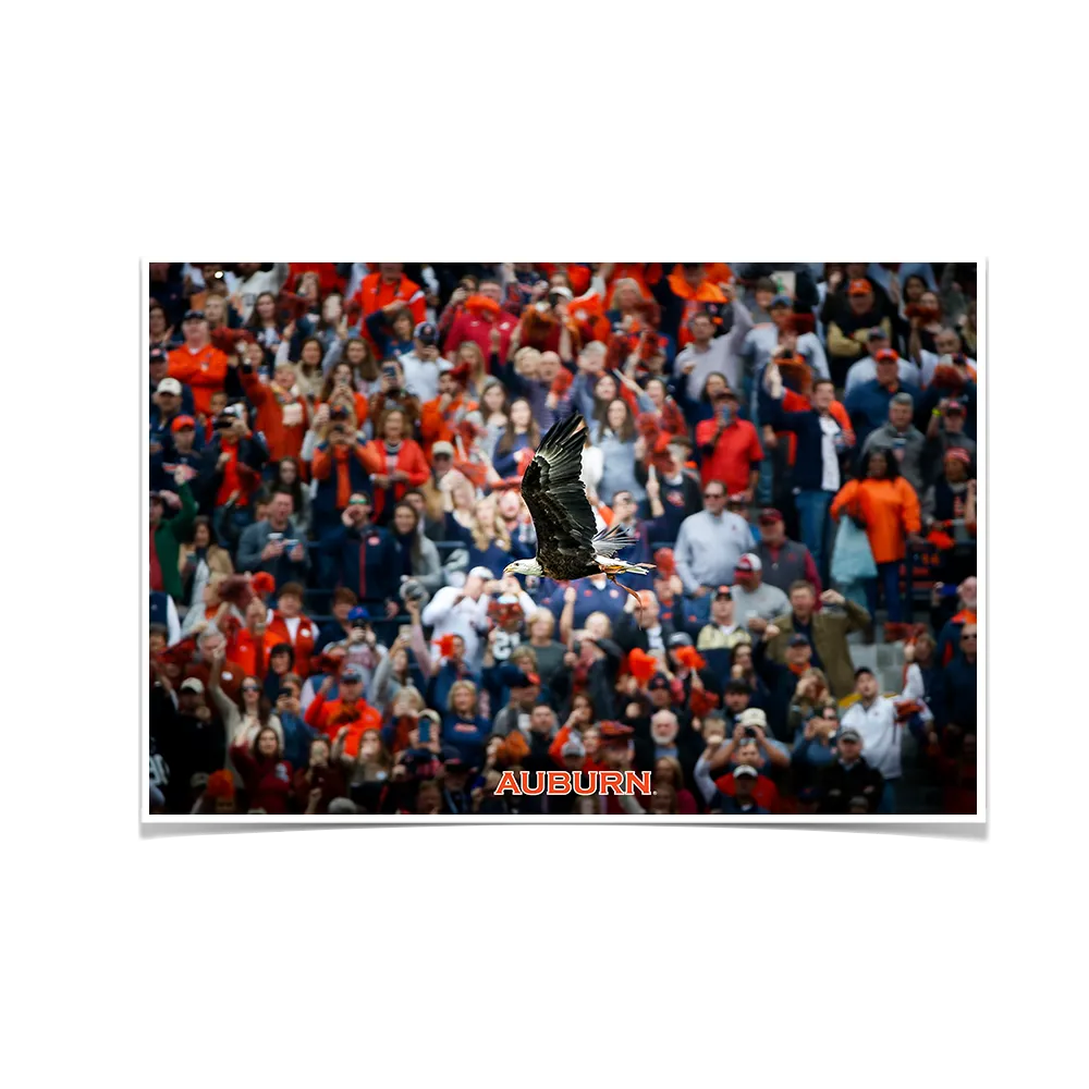 Auburn Tigers - War Eagle Soars