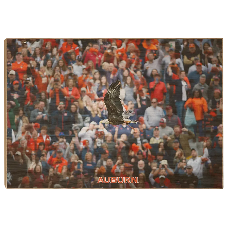 Auburn Tigers - War Eagle Soars