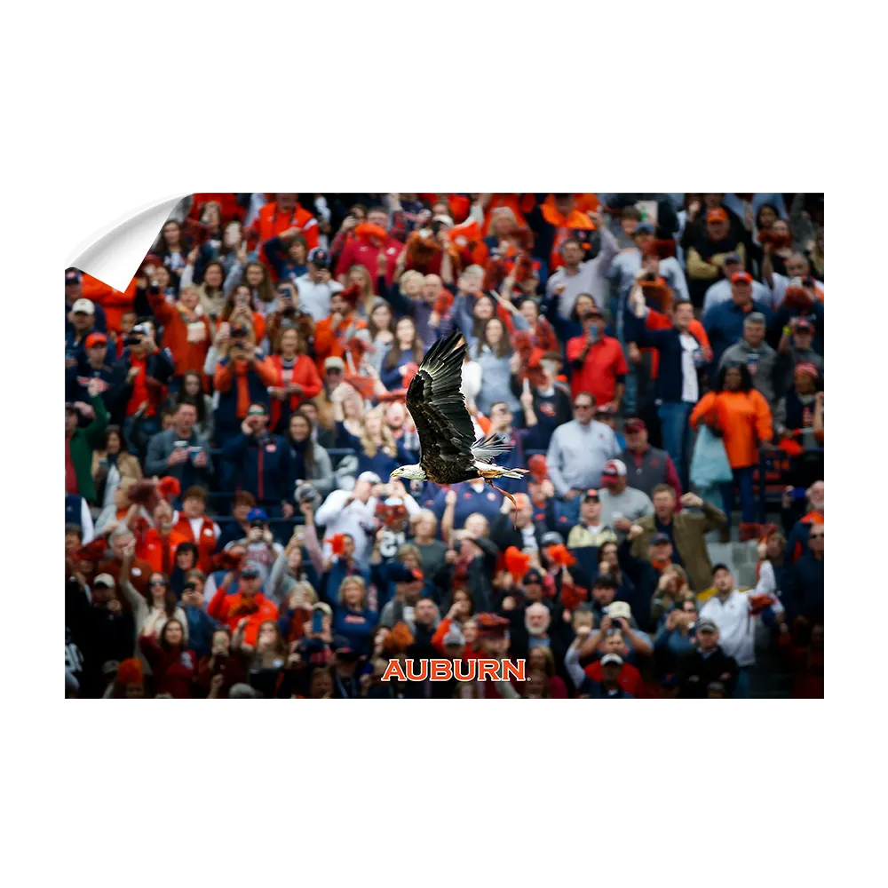 Auburn Tigers - War Eagle Soars