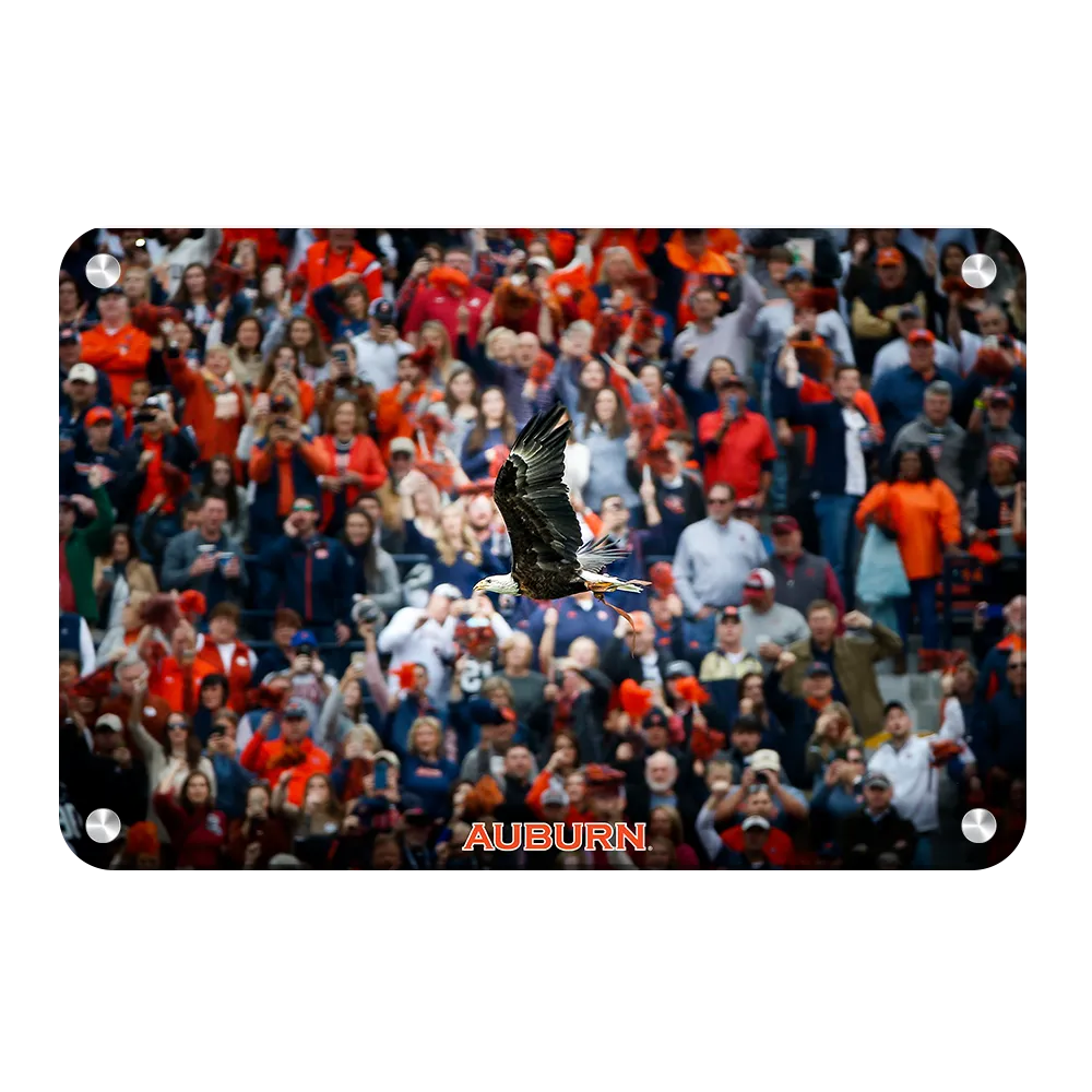 Auburn Tigers - War Eagle Soars