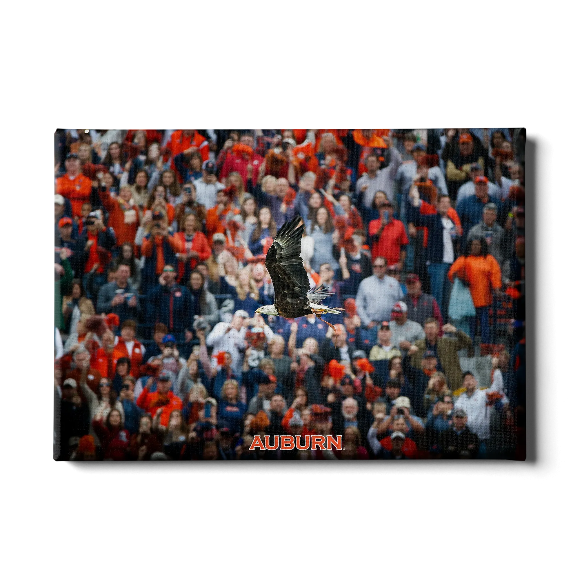 Auburn Tigers - War Eagle Soars