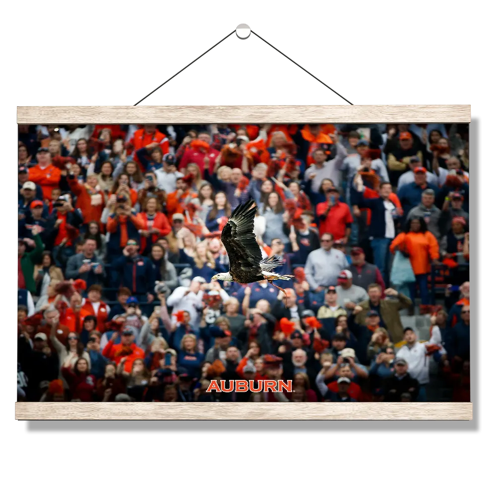 Auburn Tigers - War Eagle Soars