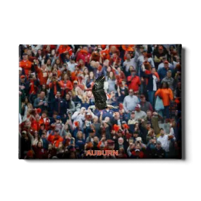 Auburn Tigers - War Eagle Soars