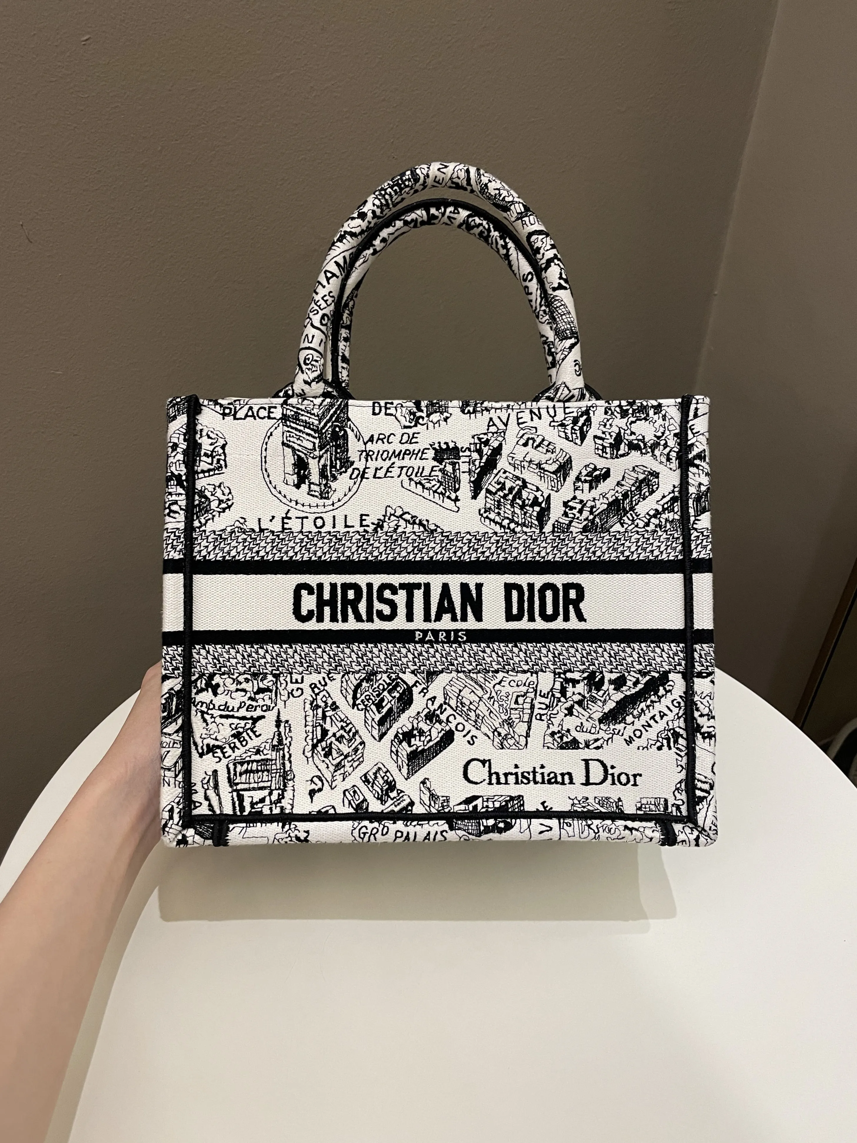 Dior Plan de Paris Book Tote  White / Black