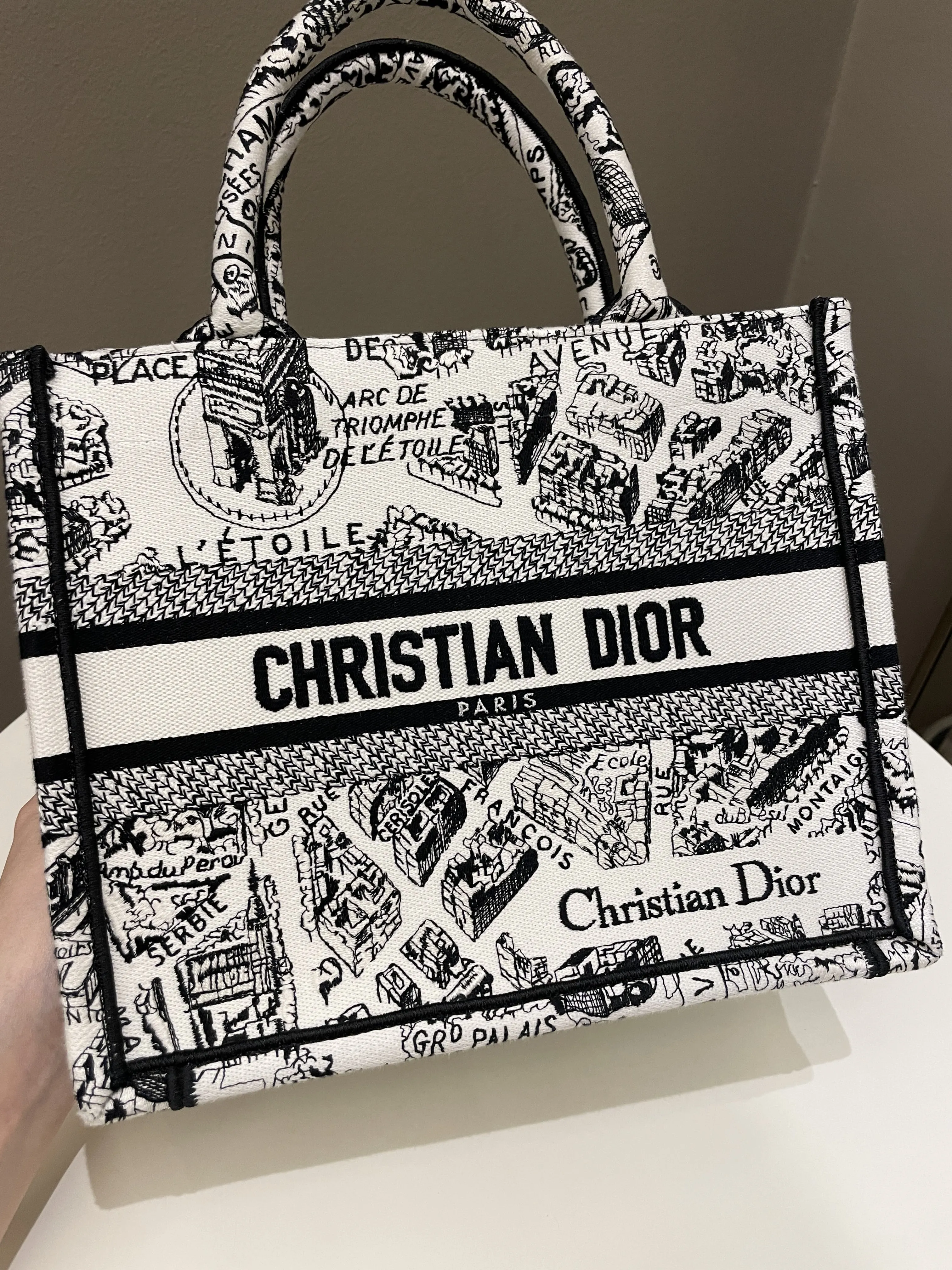 Dior Plan de Paris Book Tote  White / Black