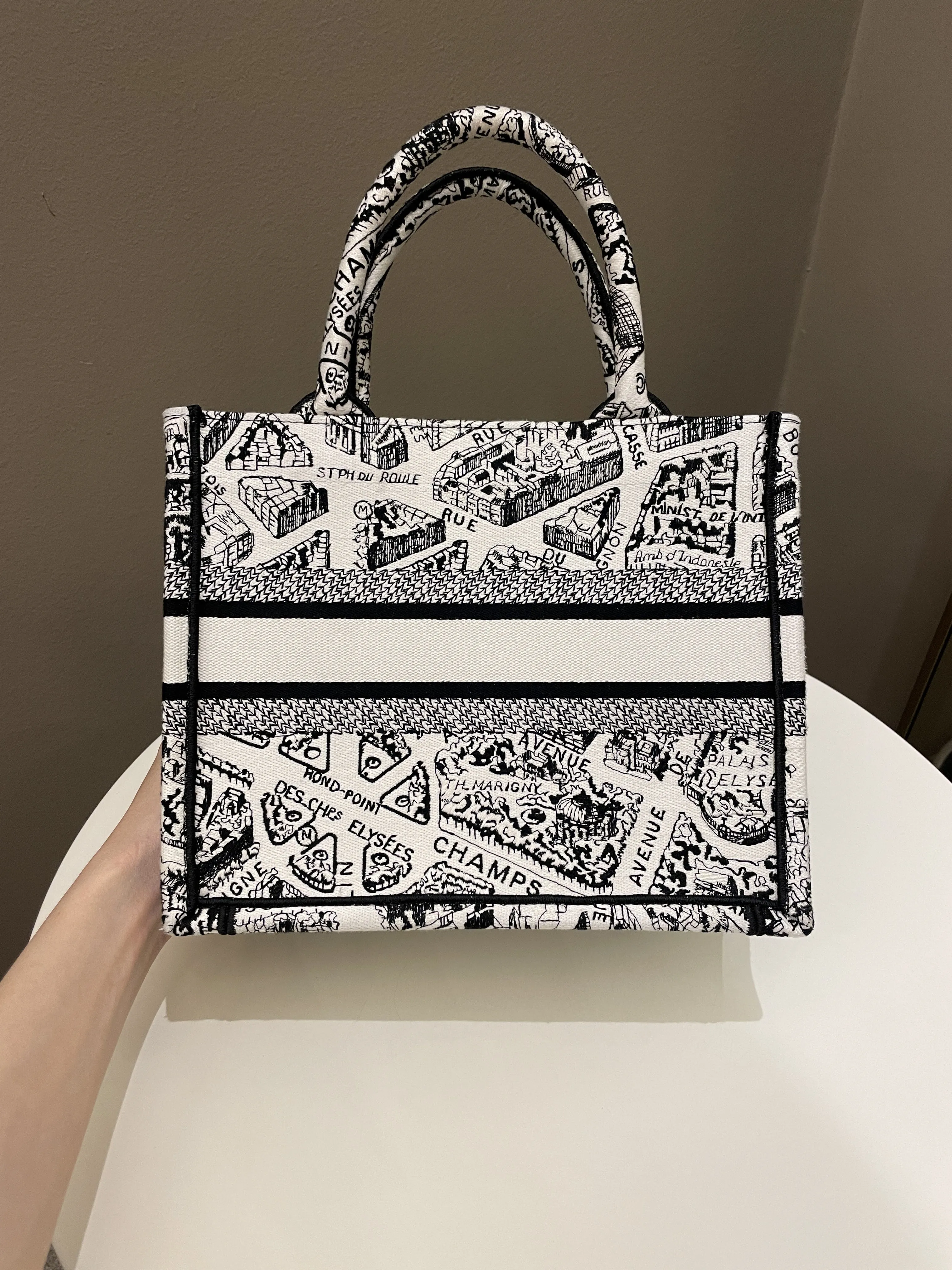 Dior Plan de Paris Book Tote  White / Black