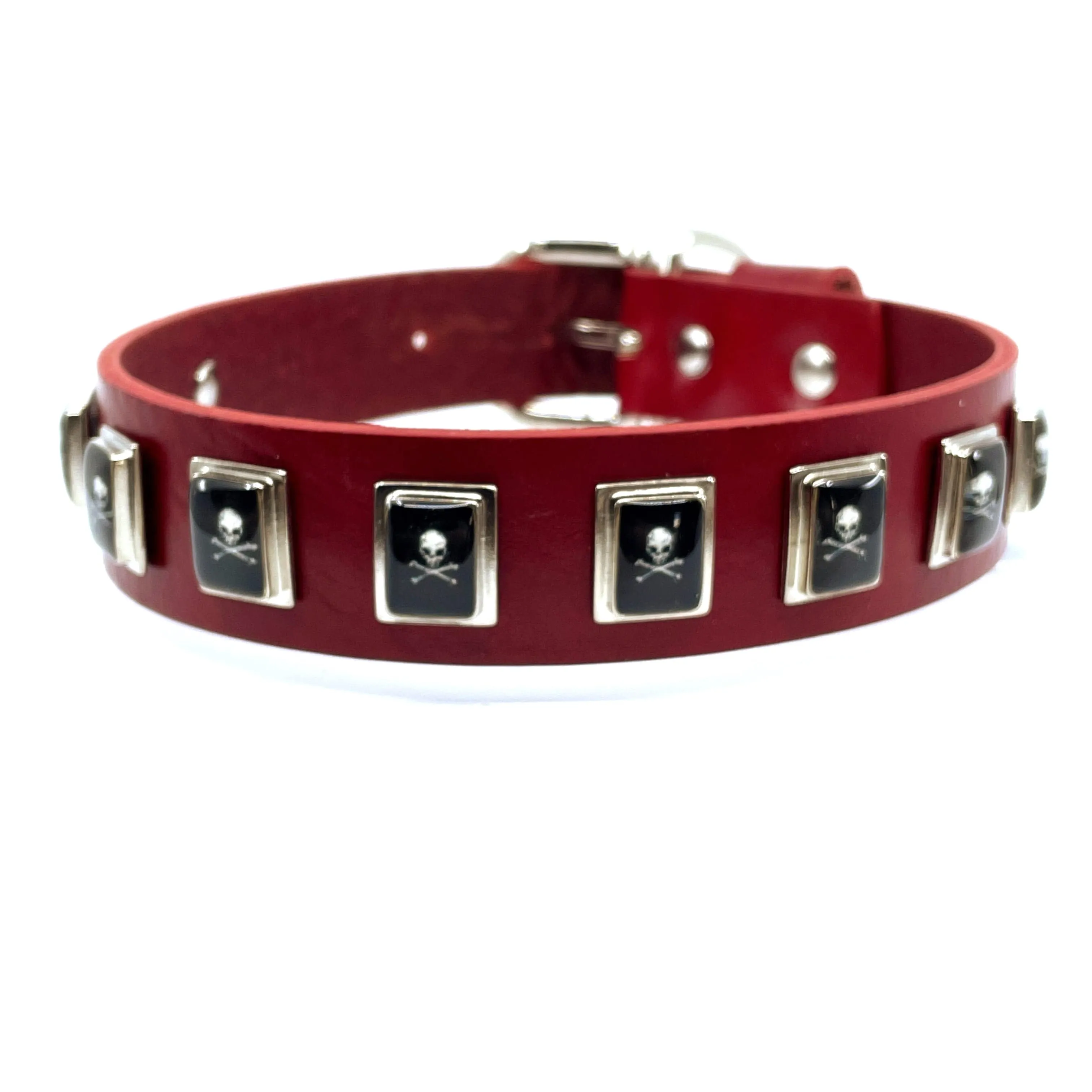 Dog Collar - Skull & Crossbones