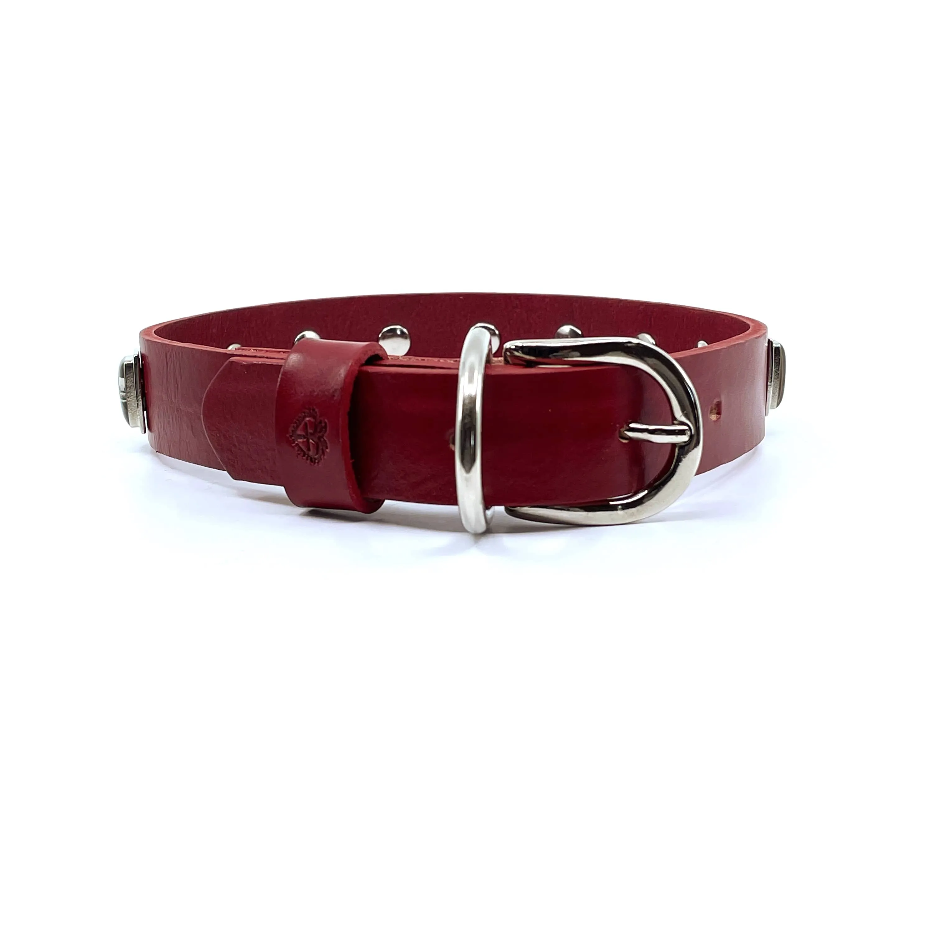 Dog Collar - Skull & Crossbones