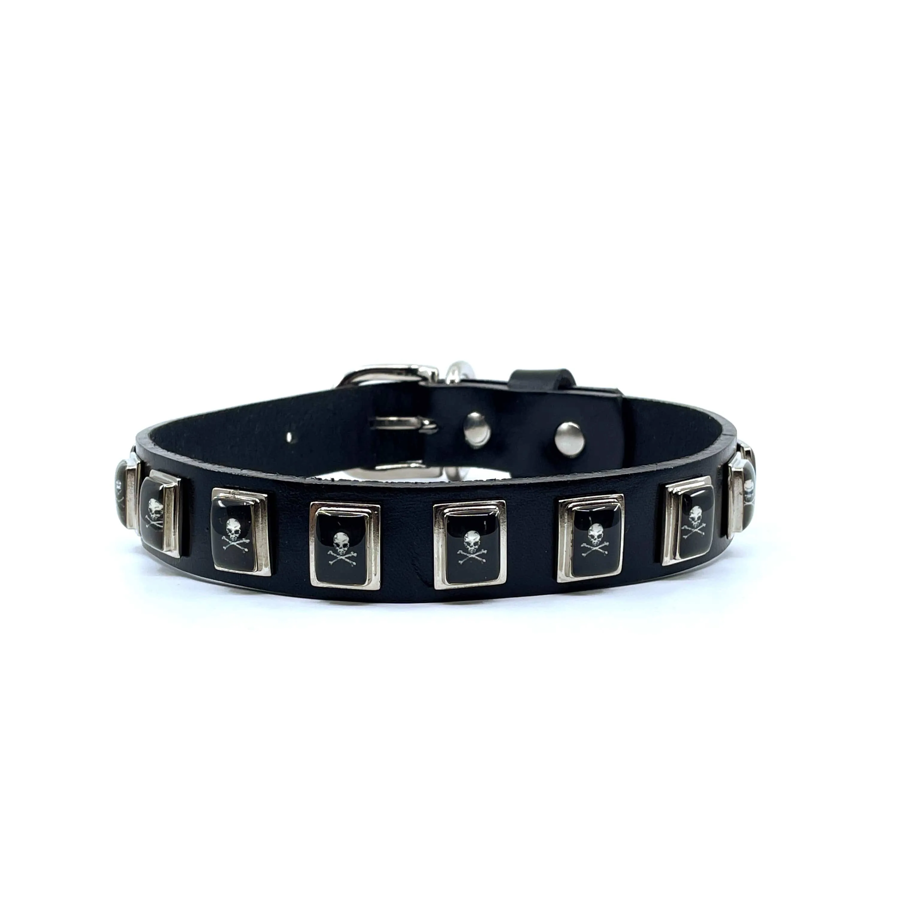 Dog Collar - Skull & Crossbones