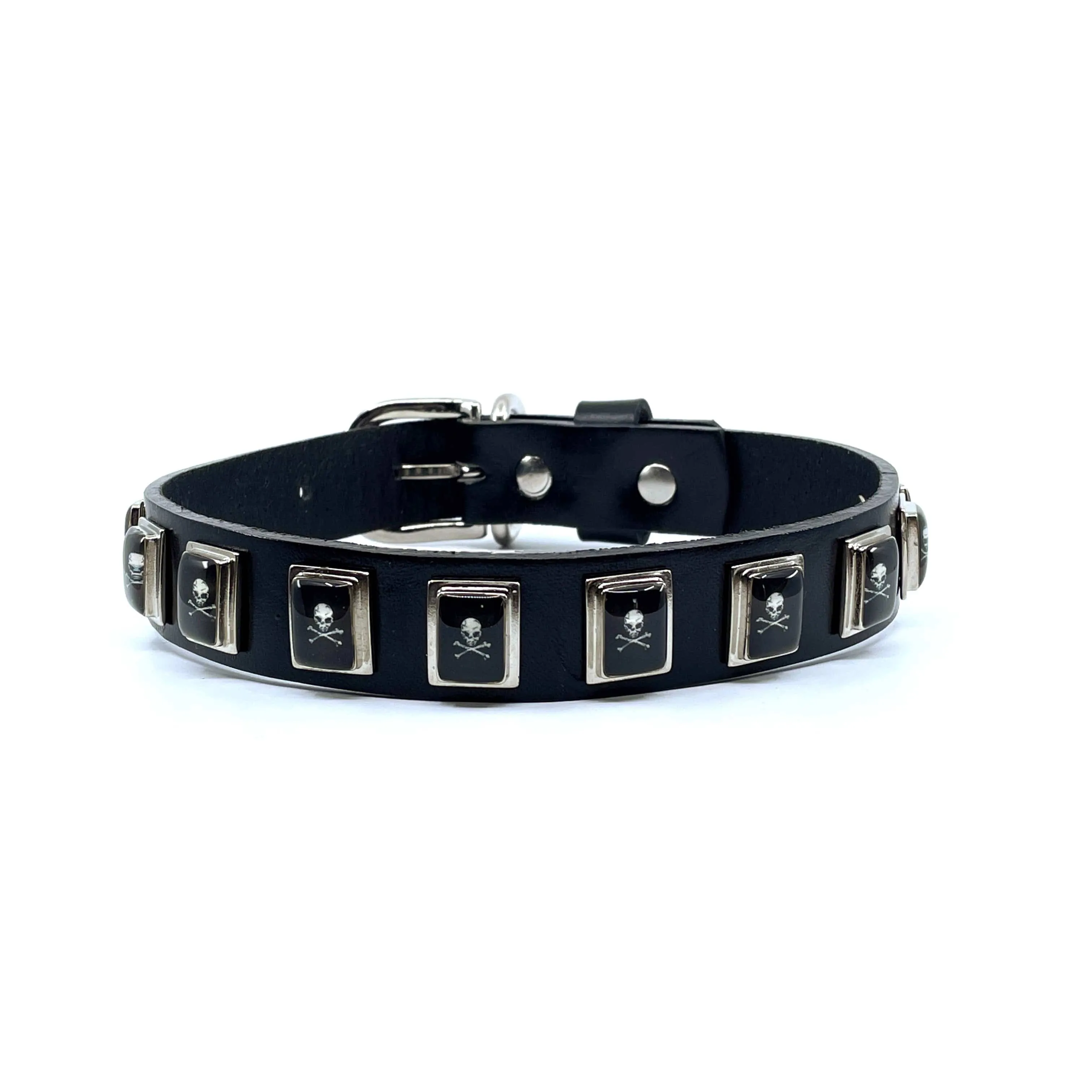 Dog Collar - Skull & Crossbones