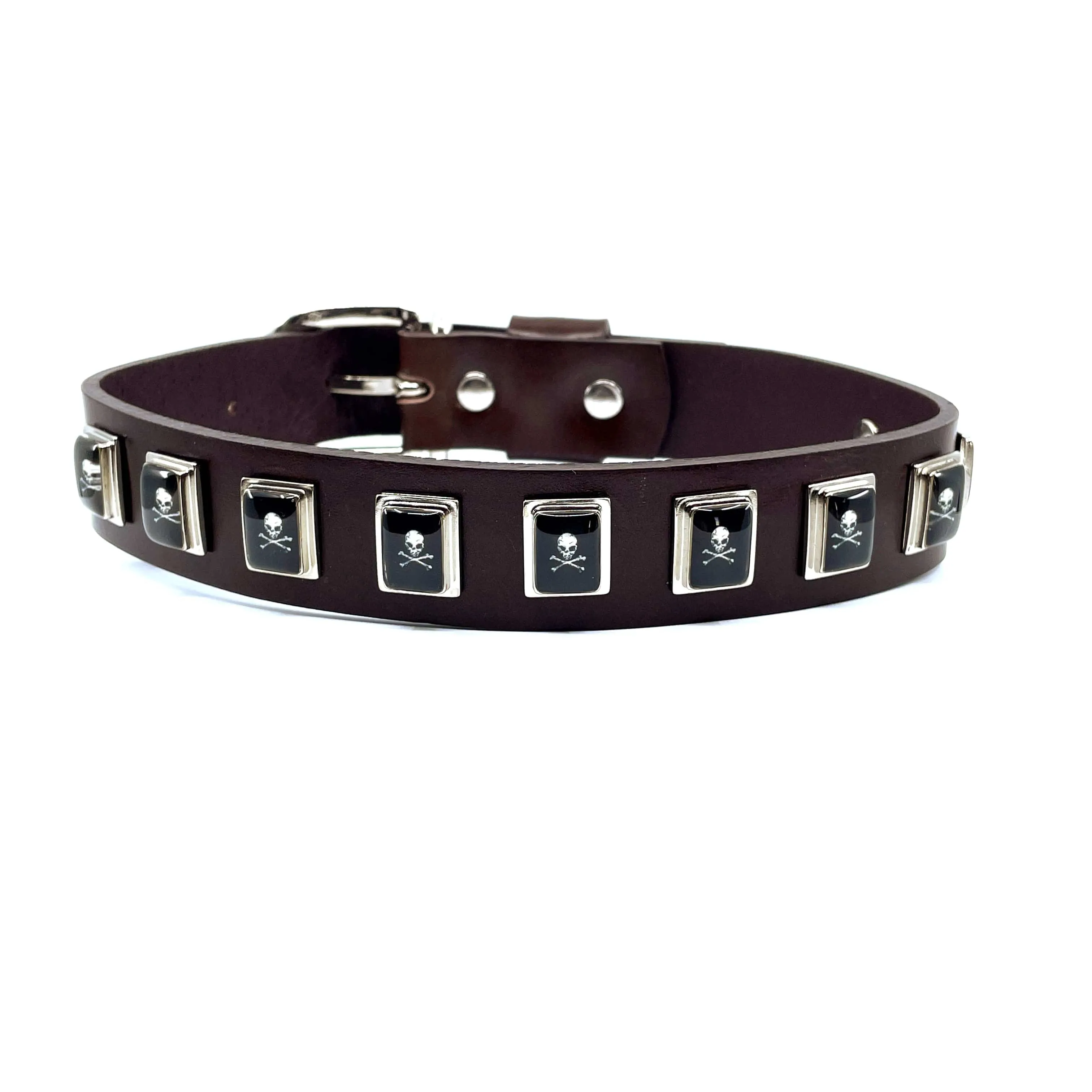 Dog Collar - Skull & Crossbones