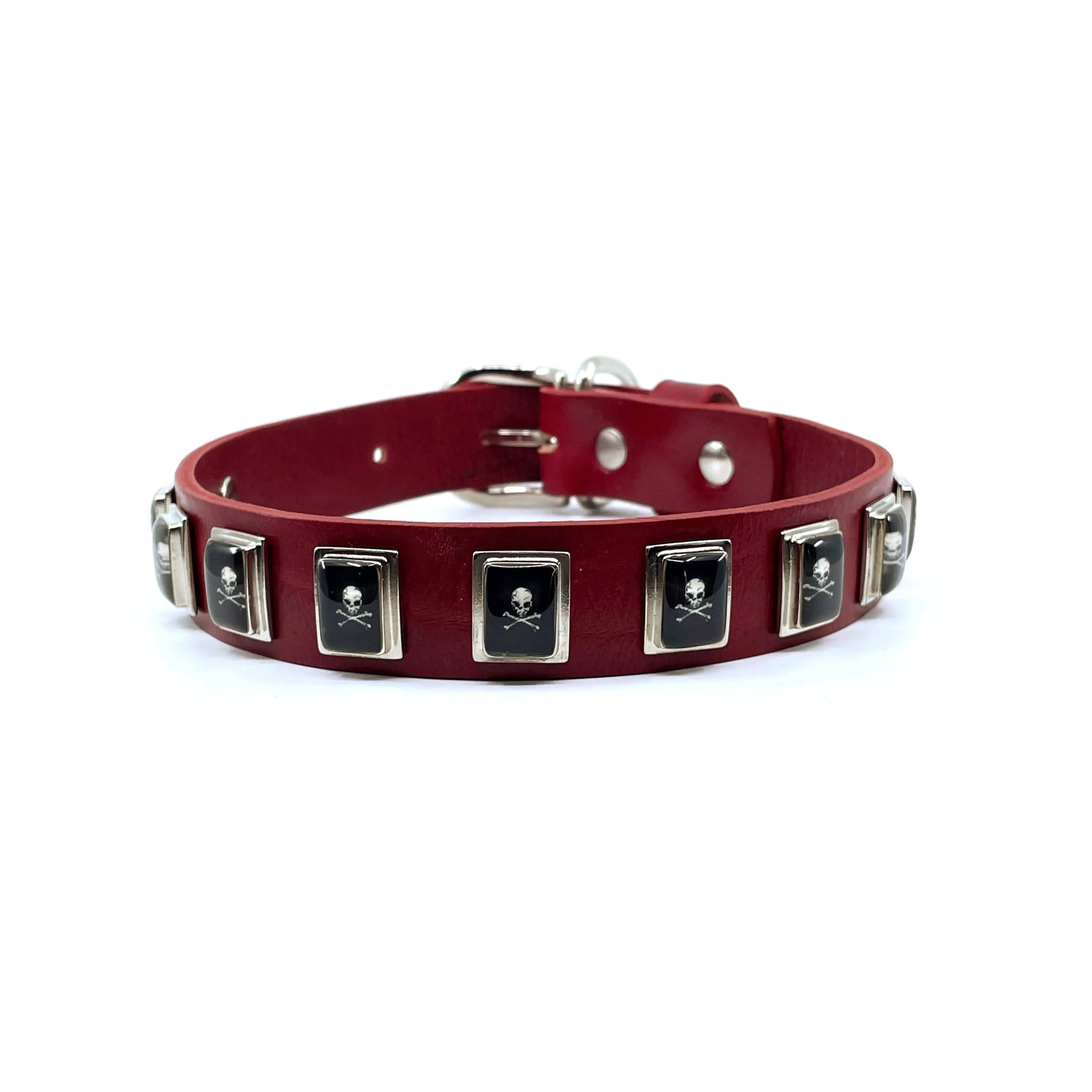 Dog Collar - Skull & Crossbones