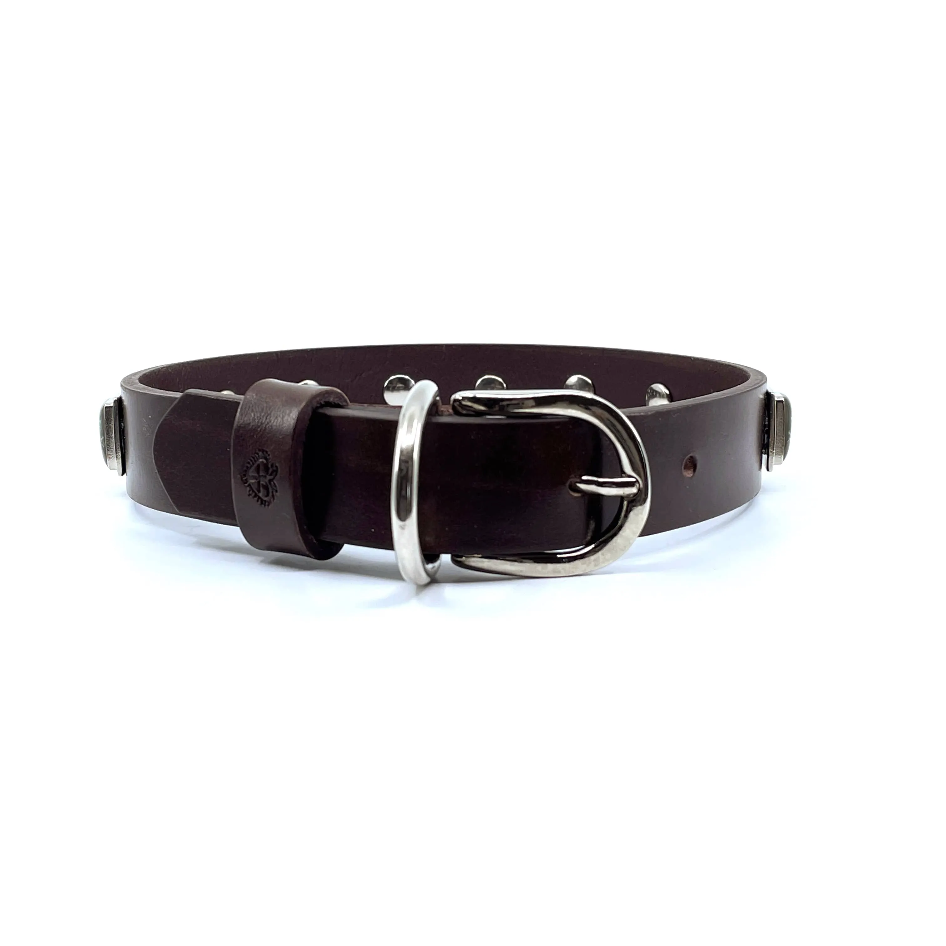 Dog Collar - Skull & Crossbones