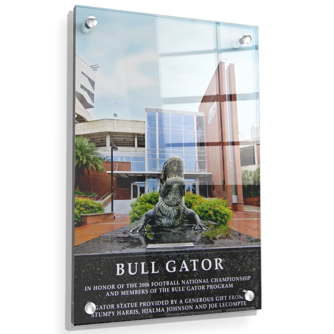 Florida Gators - Bull Gator