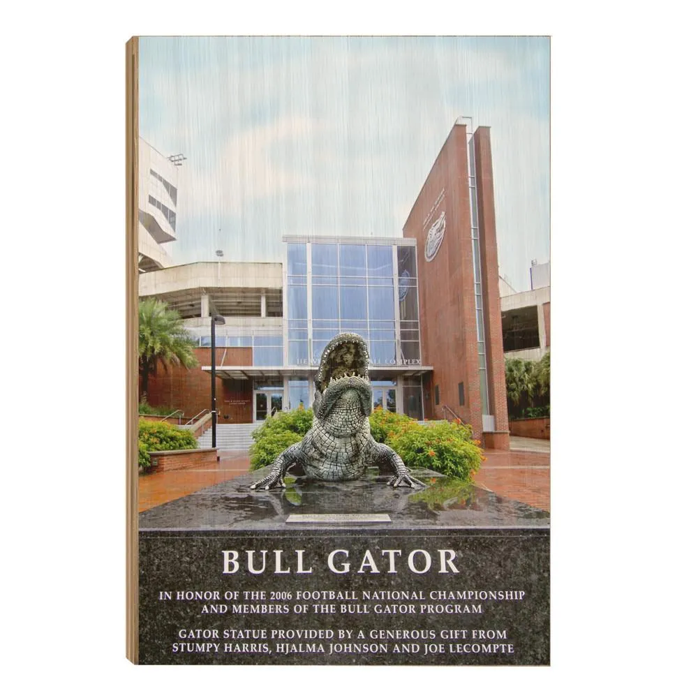 Florida Gators - Bull Gator