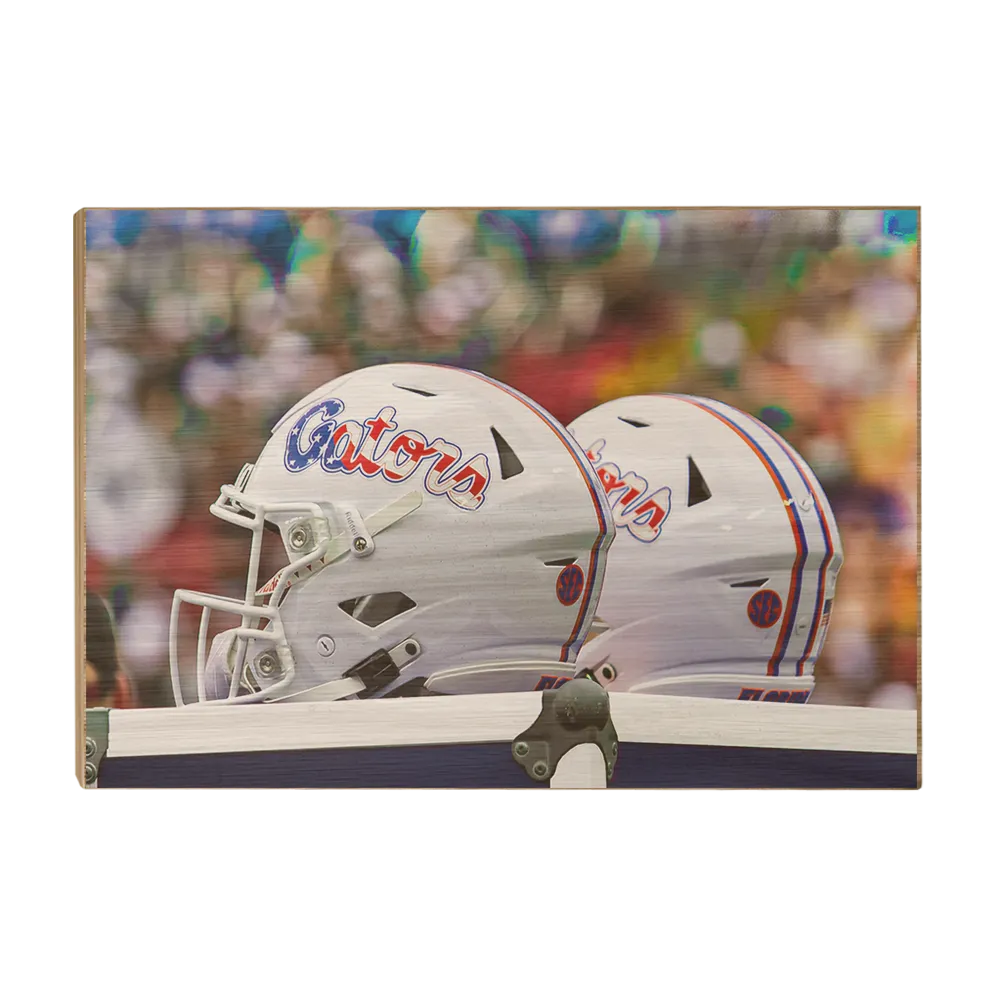 Florida Gators - USA Helmets