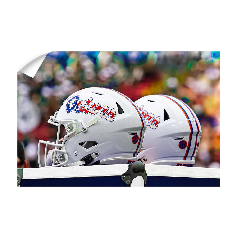 Florida Gators - USA Helmets