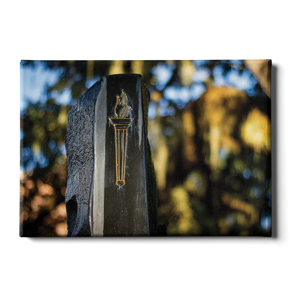 Florida State Seminoles - Hidden Fountain