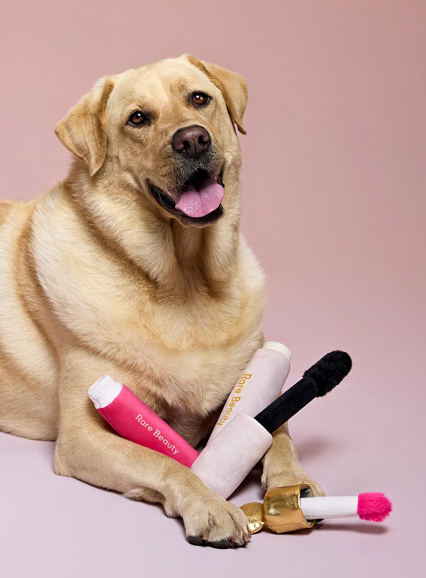 Pawfect Strokes Mascara Dog Toy