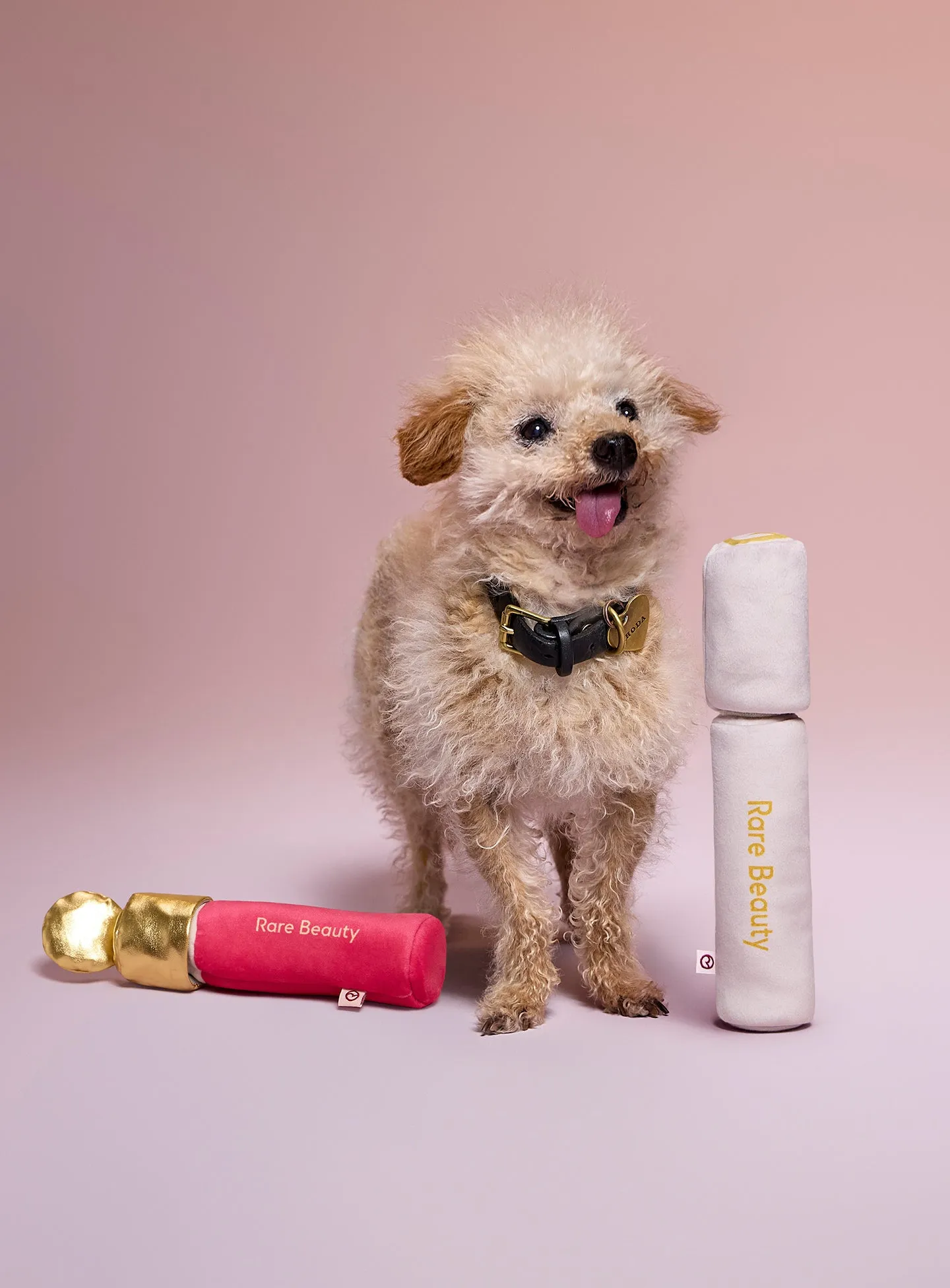 Pawfect Strokes Mascara Dog Toy