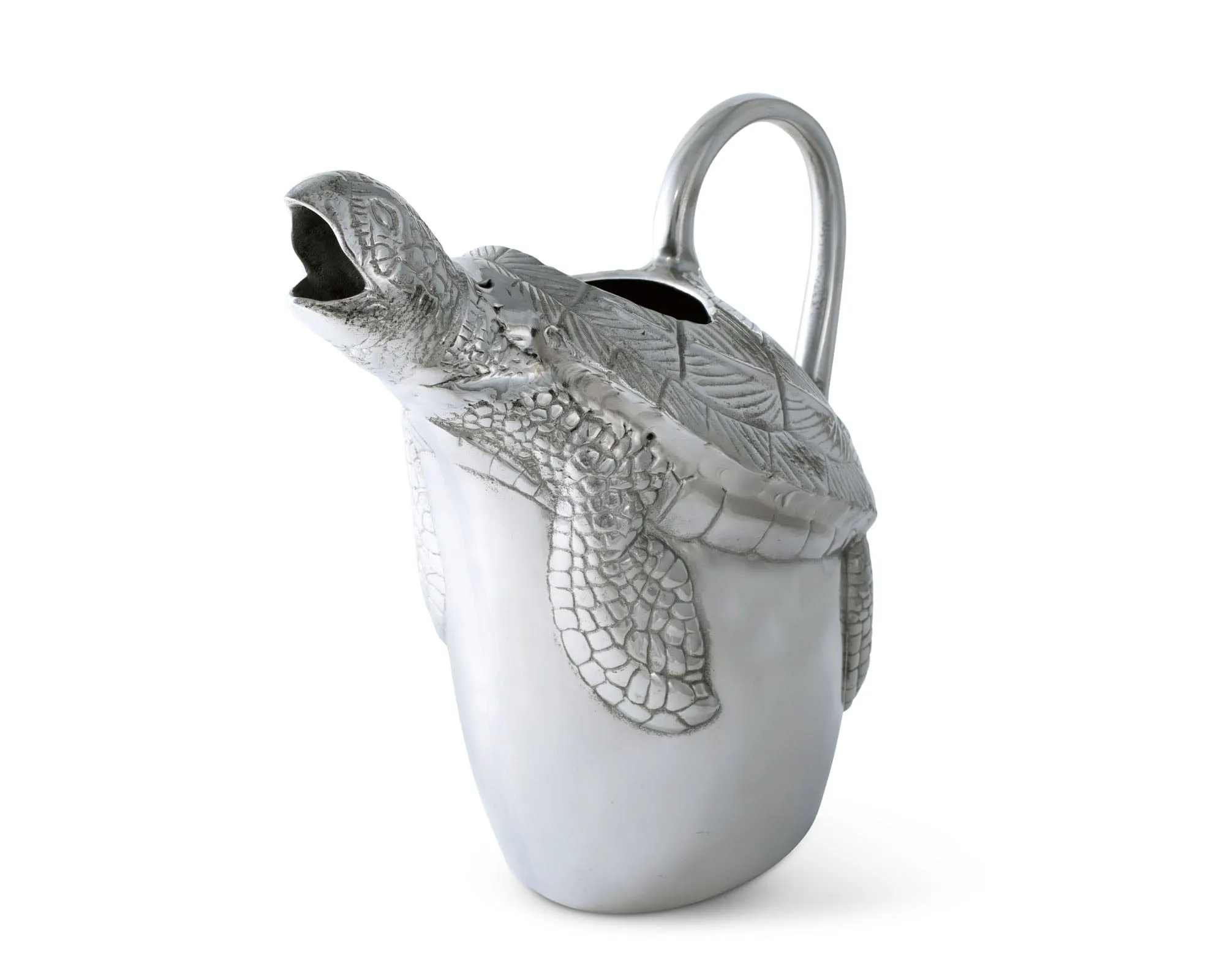 Sea Pitcher