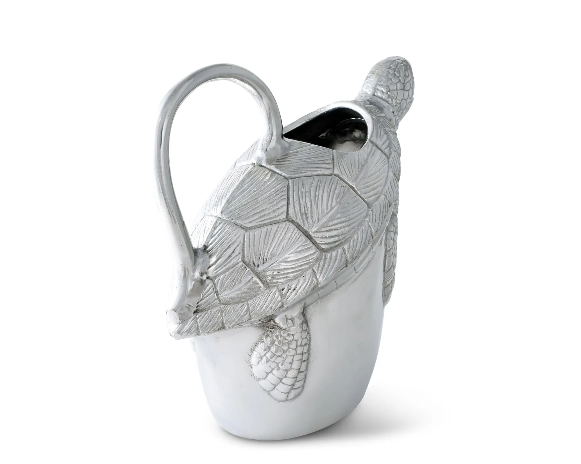 Sea Pitcher