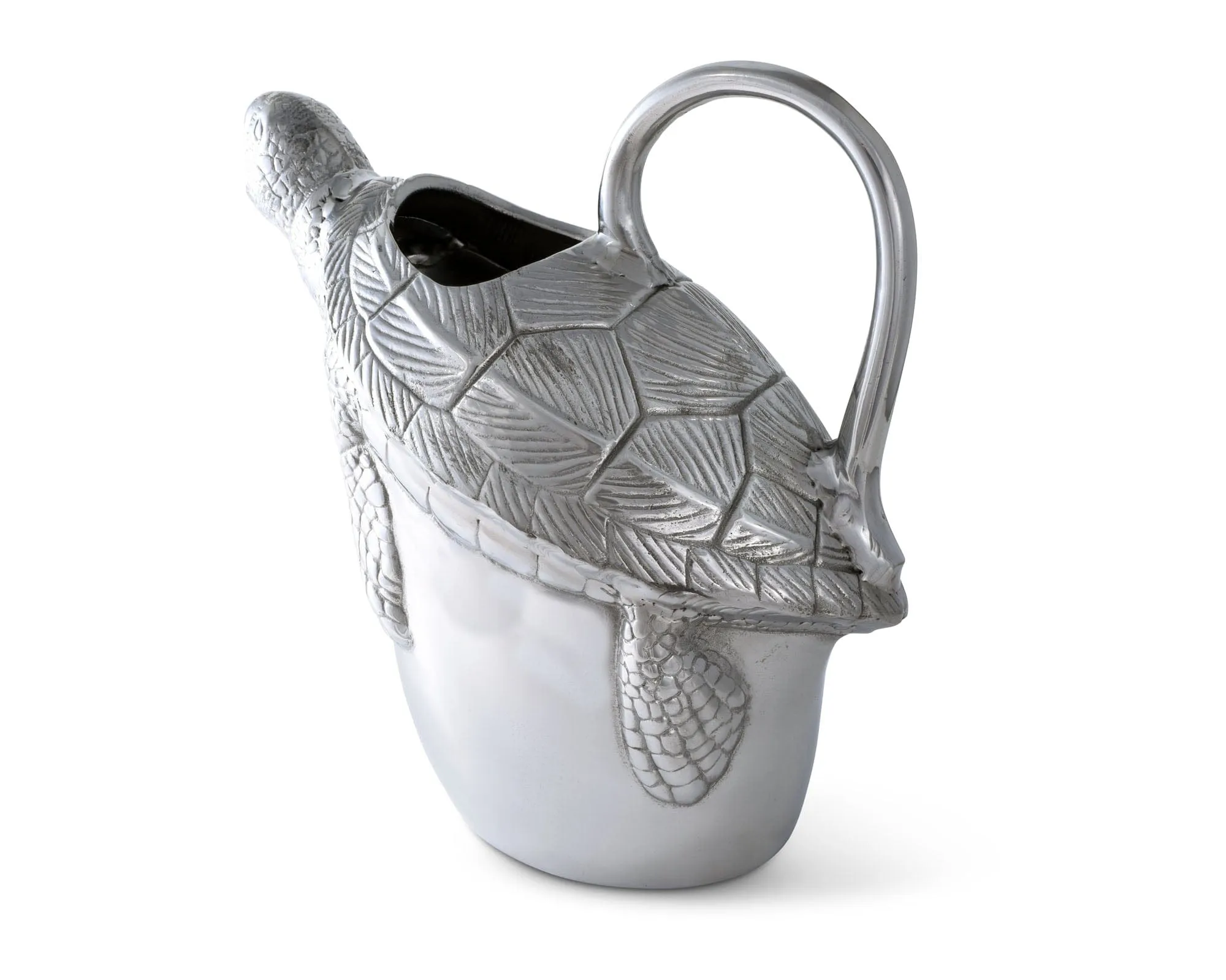 Sea Pitcher