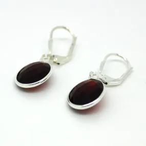 Silver Garnet Earrings